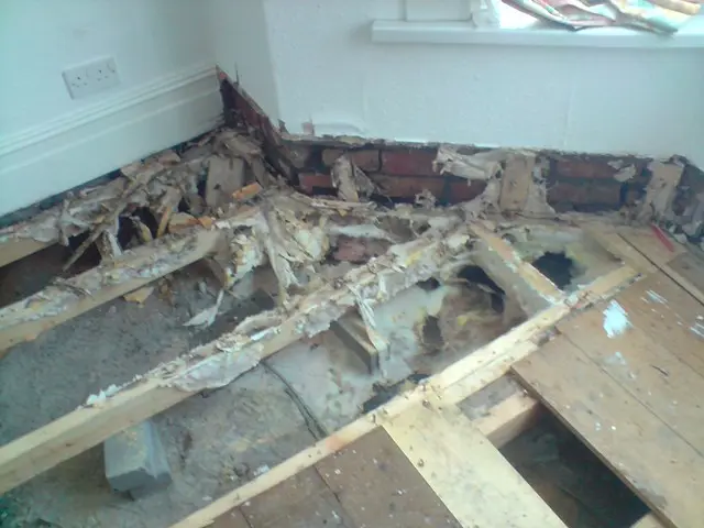 Dry rot treatment site photograph 1