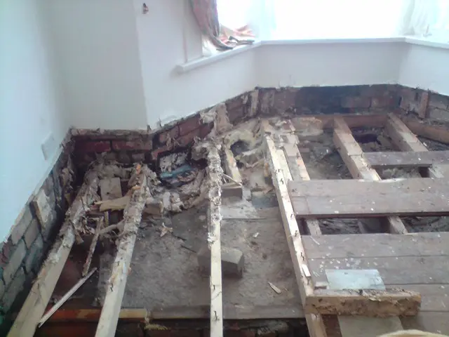 Dry rot treatment site photograph 2