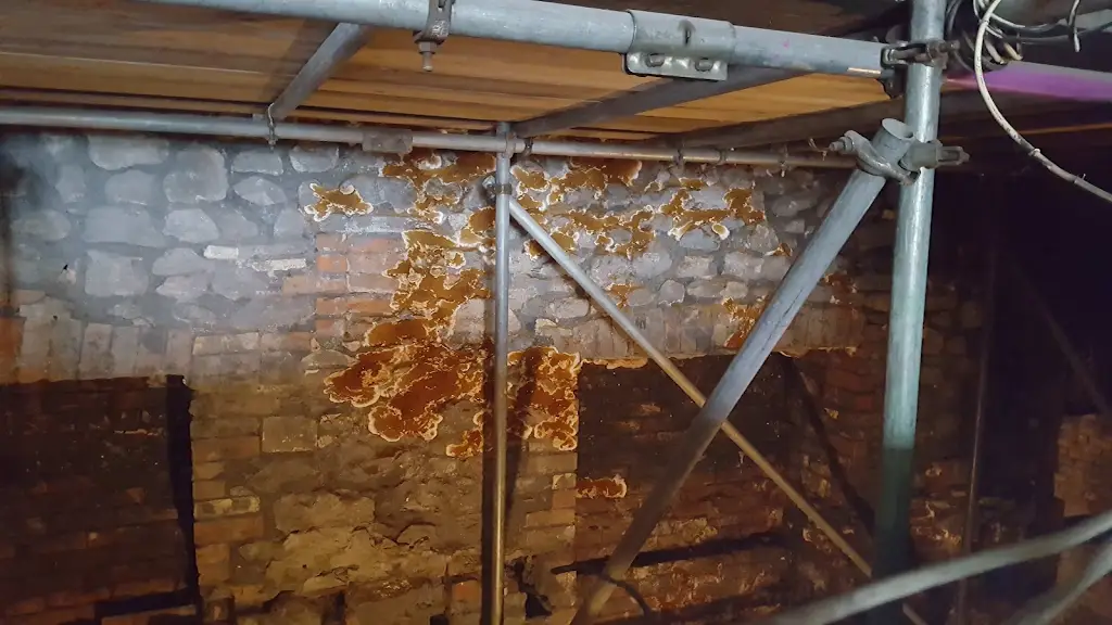 Dry rot treatment site photograph 3