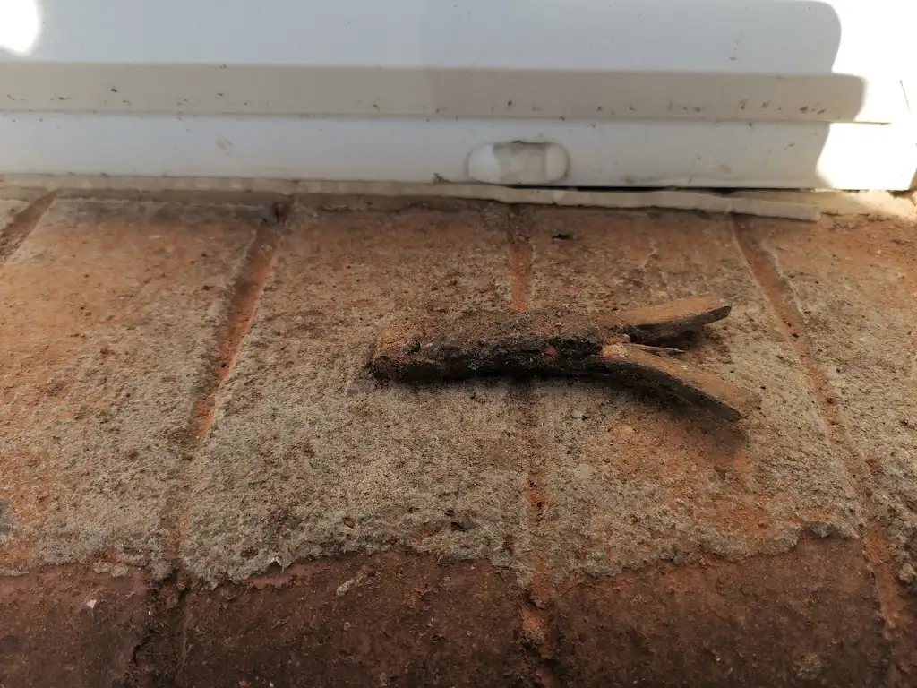 Corroded cavity wall tie removed from brickwork