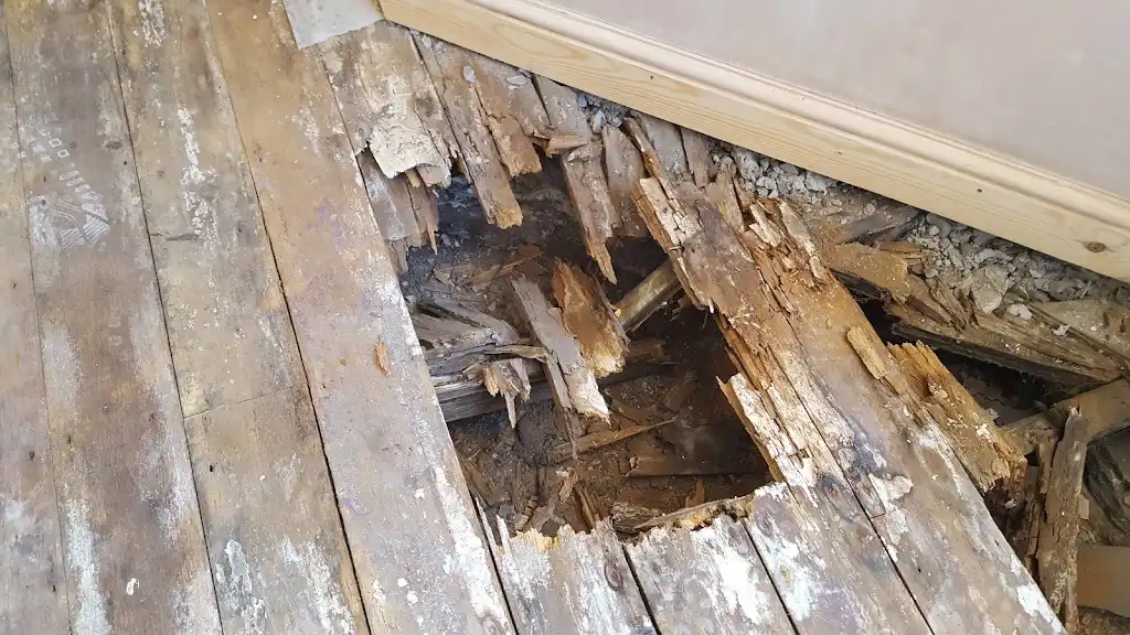 Damaged timber floorboards lifted for woodworm and timber inspection